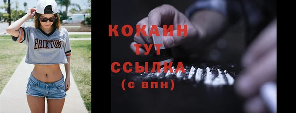 шишки Вязники