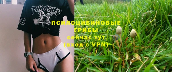 дмт Волосово