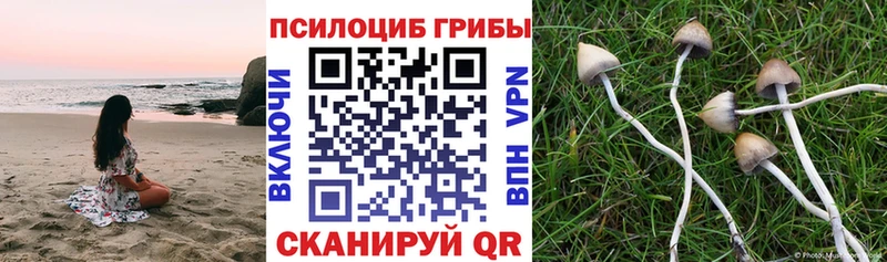 Галлюциногенные грибы ЛСД Купить Магадан